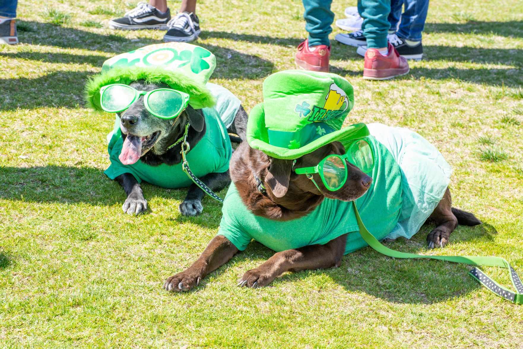 St. Paddy's Palooza